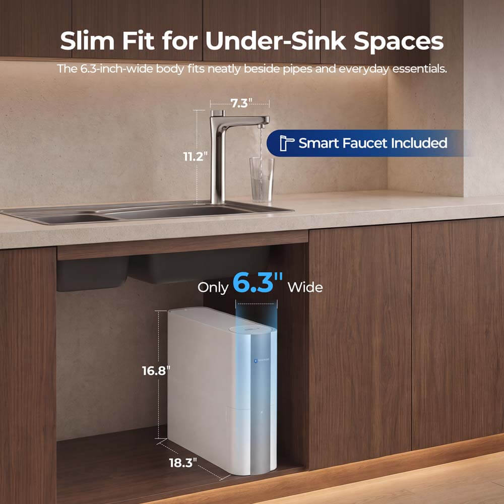 Loopdrops AR1000 Under-Sink Instant Hot RO System