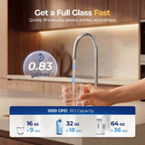 Loopdrops CR1000 High-Flow Under-Sink RO Water Filter